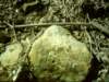 dsci0101_small.jpg