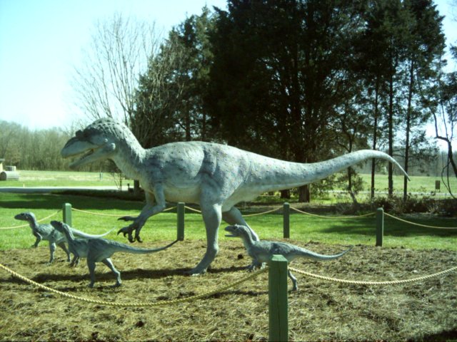 allosaurus.jpg