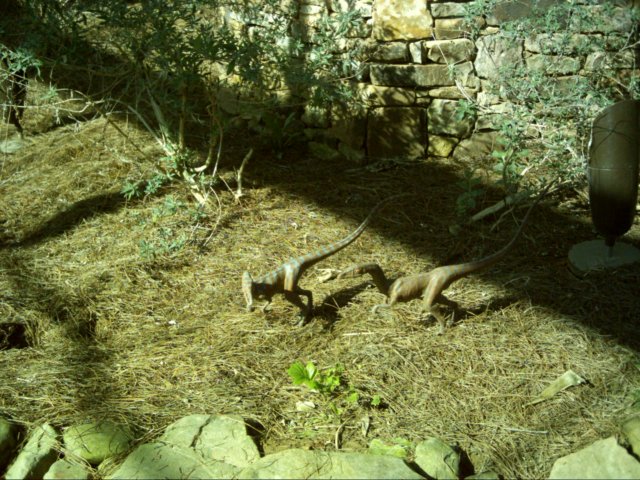 compsognathus.jpg