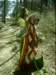 dsci0029_small.jpg