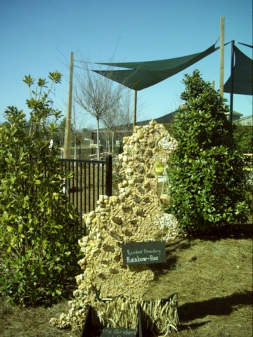 dsci0067.jpg