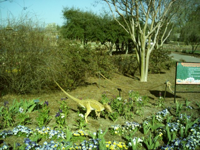 heterodontosaurus.jpg