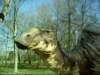 kritosaurus_small.jpg