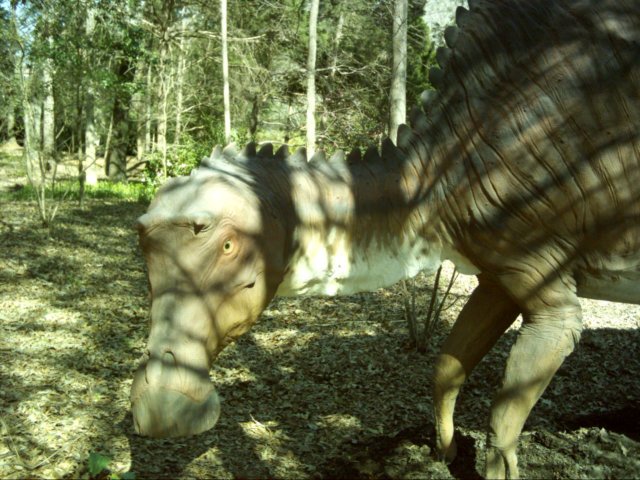maiasaura.jpg