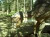 maiasaura_small.jpg