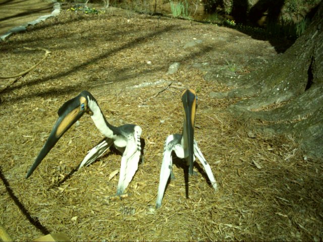 quetalcoatlus.jpg