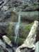 dsci0005_small.jpg