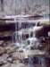 dsci0008_small.jpg