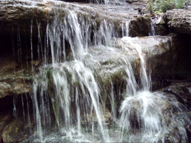 dsci0010.jpg