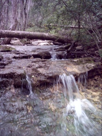 dsci0014.jpg