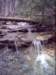 dsci0014_small.jpg