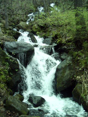 cr227waterfall.jpg