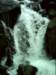 dsci0013_small.jpg