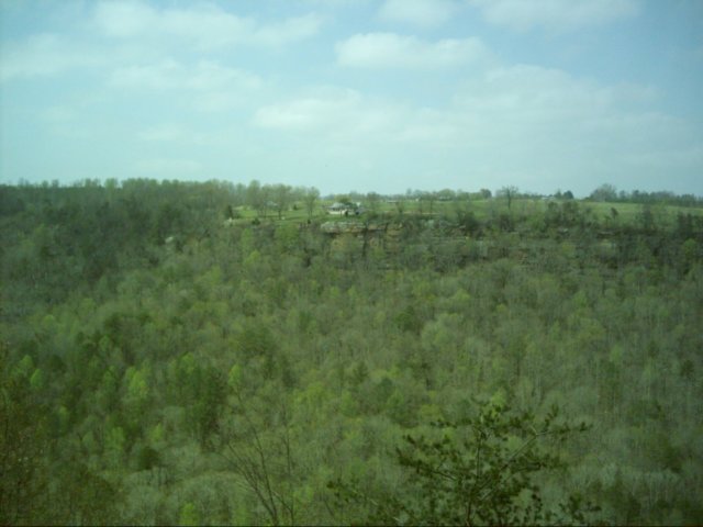 dsci00202.jpg