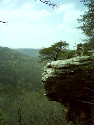 dsci00282.jpg