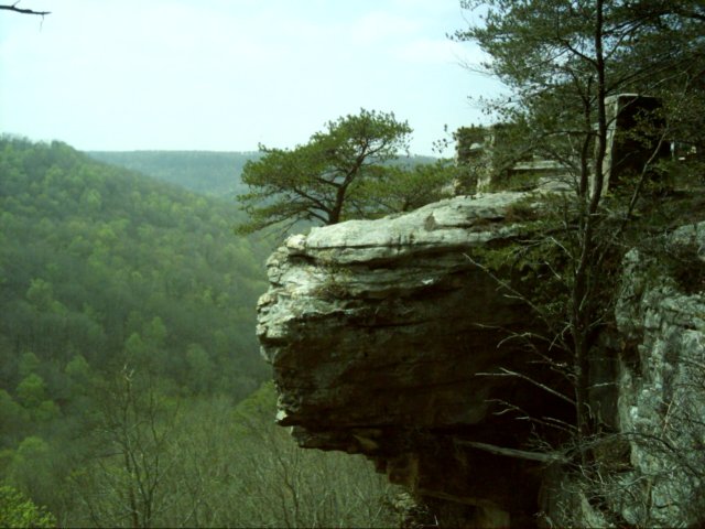 dsci00292.jpg