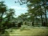 dsci0037_small.jpg