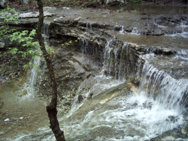 dsci0038.jpg