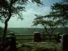 dsci00402_small.jpg