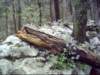 dsci0047_small.jpg