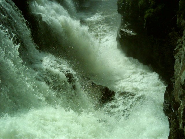 dsci0063.jpg