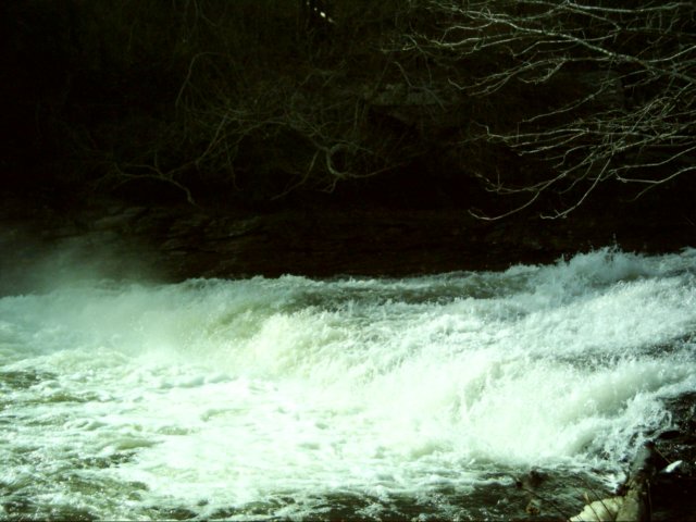 dsci0098.jpg