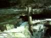 dsci0124_small.jpg