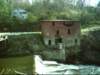 dsci0138_small.jpg