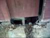 dsci0153_small.jpg