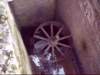 dsci0160_small.jpg