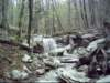 montesanolandtrustwaterfallsoldrailroadbedtrail_small.jpg