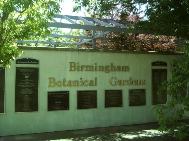 dsci0008.jpg