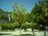 dsci0009_small.jpg