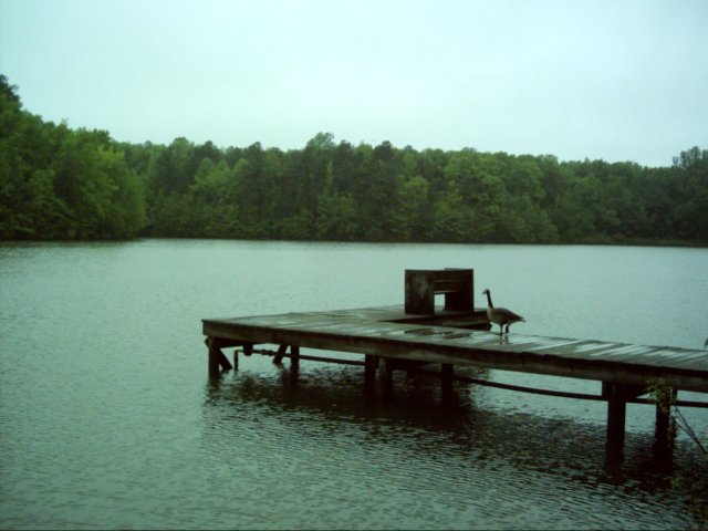 dsci0046.jpg