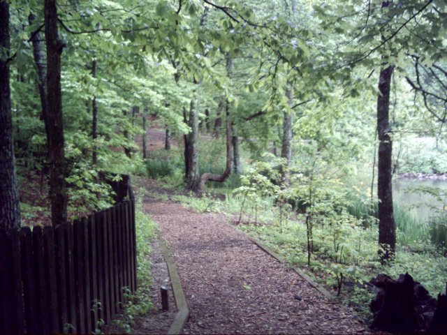 dsci0051.jpg