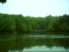dsci0054_small.jpg