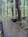 dsci0085_small.jpg