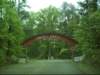 dsci0111_small.jpg