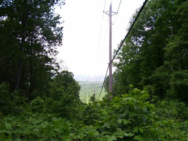 _0215.jpg