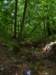 _0221_small.jpg