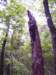 _0272_small.jpg
