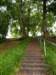 _0807_small.jpg