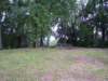 _0814_small.jpg