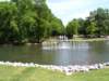 springpark_small.jpg