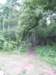 _1378_small.jpg