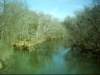 flintriverlookingeastaddedfortrailcompletion012108_small.jpg