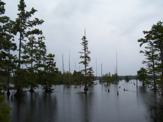 photo26.jpg