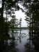 photo30_small.jpg