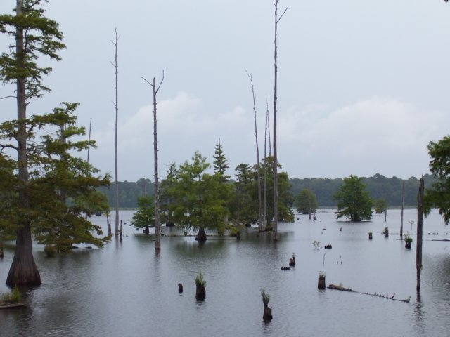 photo32.jpg