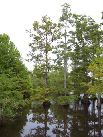 photo33.jpg
